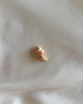 Lontra conchiglia arancione